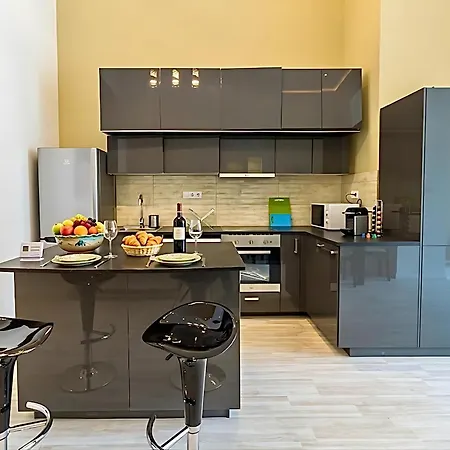Appartement Center Riverside Residency - Ac, Garage, Danube View