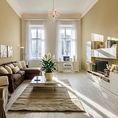Center Riverside Residency - Ac, Garage, Danube View *